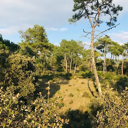 Le Petit Marche, T2 Emplacement Ideal